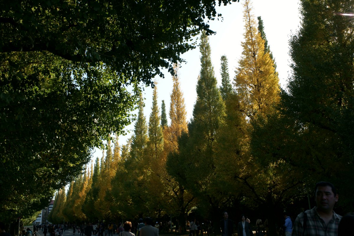 c0124795_9281338.jpg