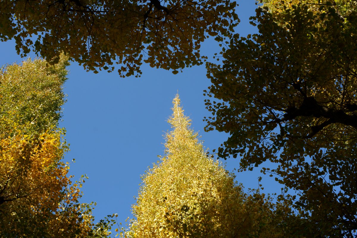 c0124795_9284480.jpg