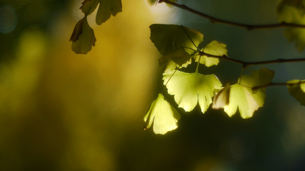 c0124795_9335179.jpg