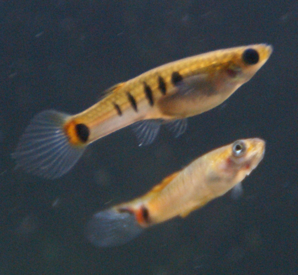 b0063999_14768.jpg