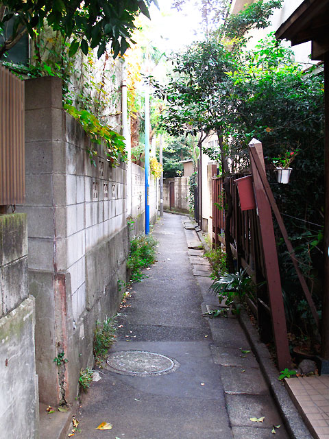 c0163001_23262030.jpg