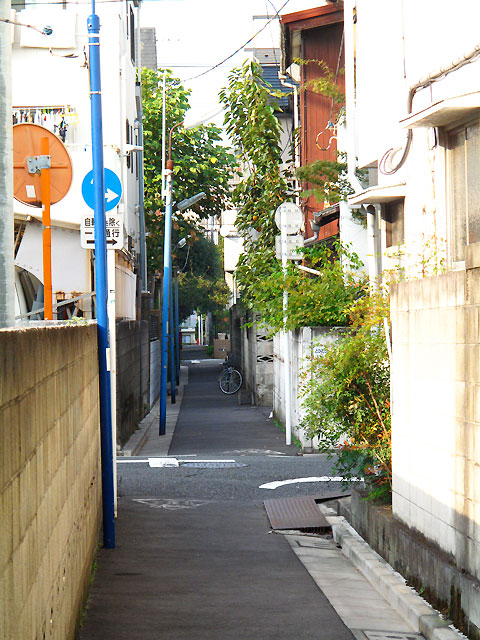 c0163001_23263111.jpg