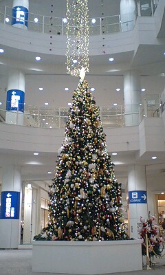 f0147602_1461953.jpg