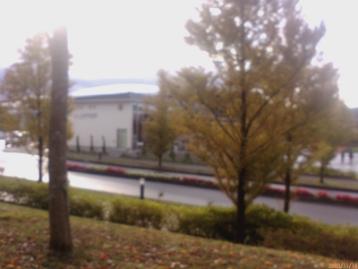 １１月１６日　じゅんコーチ☆日記_e0127003_3355745.jpg
