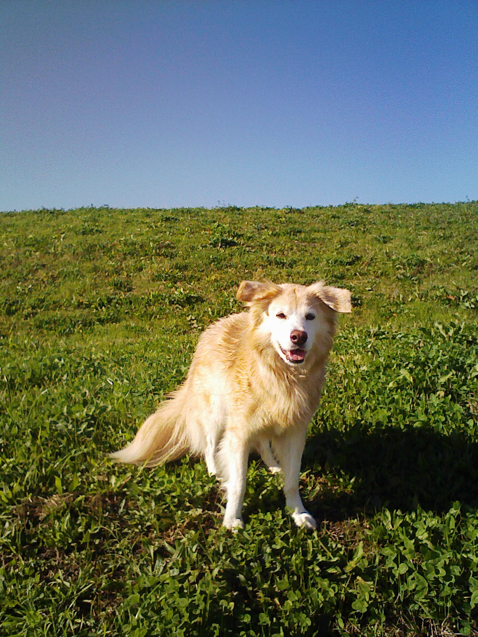 a0032004_14521.jpg