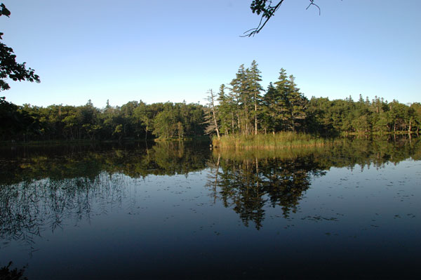e0083204_04655100.jpg