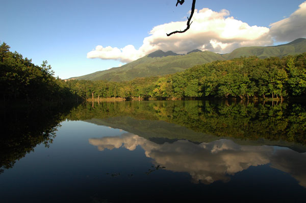 e0083204_1263833.jpg