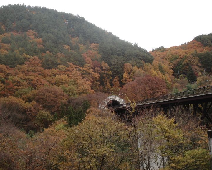 f0084806_15433178.jpg
