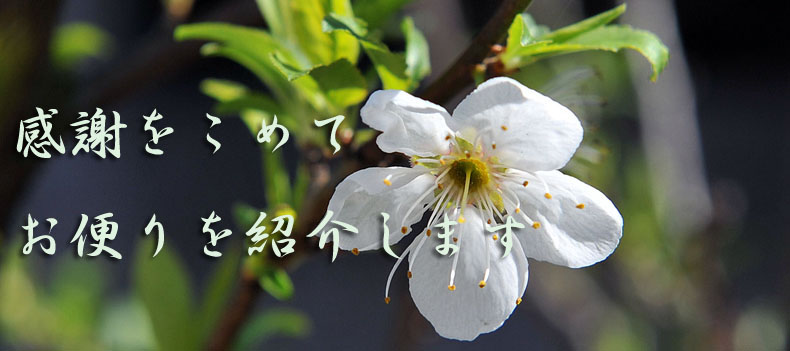 お便り紹介 1_a0042310_16391125.jpg