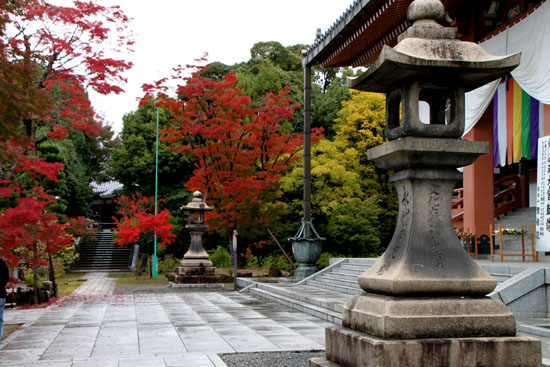 紅葉の盛り 智積院_e0048413_20161783.jpg