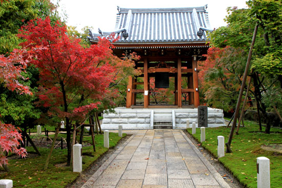 紅葉の盛り 智積院_e0048413_2020226.jpg