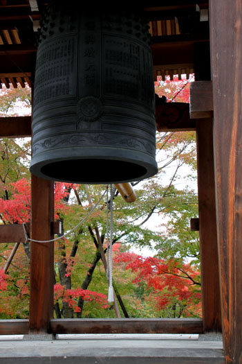 紅葉の盛り 智積院_e0048413_20203614.jpg