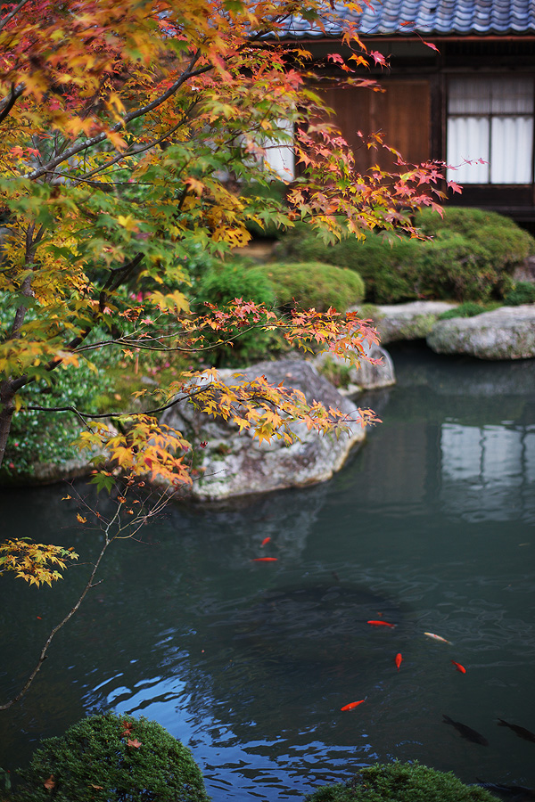 百済寺（ひゃくさいじ） の紅葉2009（滋賀県東近江市）_c0115616_2028123.jpg