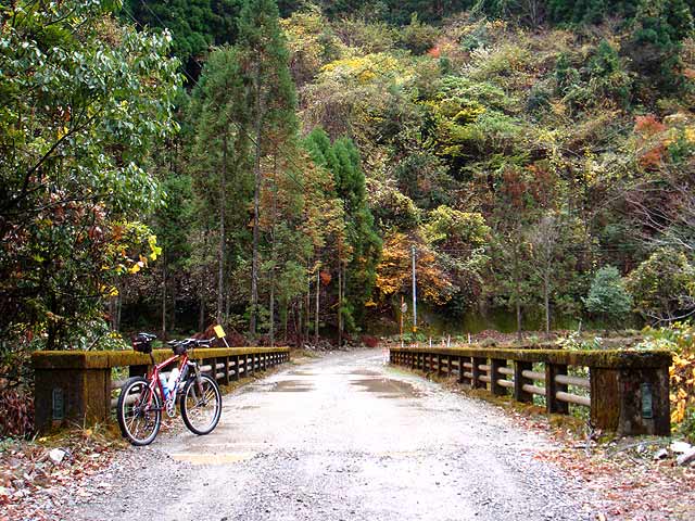 照葉樹原生林の林道走行 vol.15_b0146418_23233539.jpg