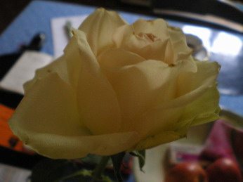 c0124619_2442731.jpg