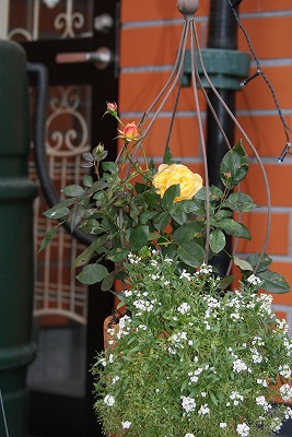 f0170524_12324119.jpg