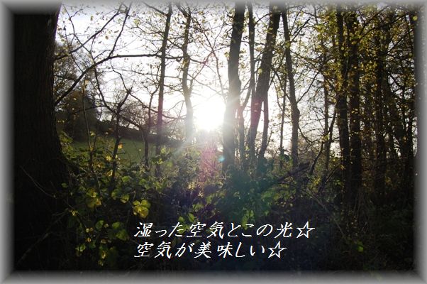 仕事の翌日はご褒美ビールでプッハ~~!_d0104926_3134266.jpg