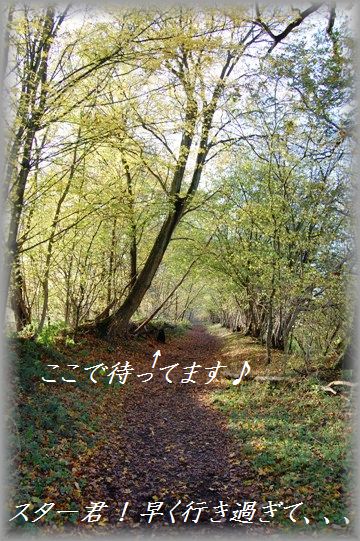 仕事の翌日はご褒美ビールでプッハ~~!_d0104926_314894.jpg
