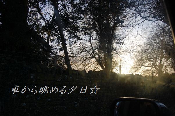 仕事の翌日はご褒美ビールでプッハ~~!_d0104926_3223152.jpg