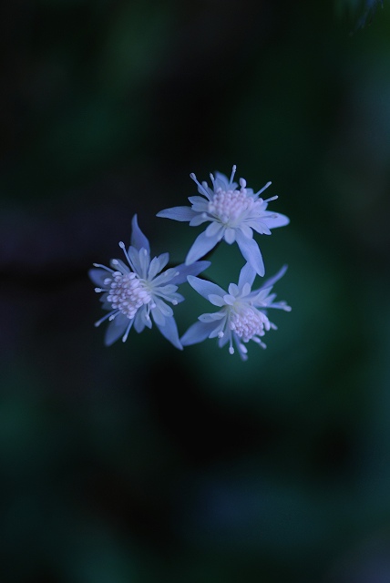 写真展展示作品 6W_c0027027_015241.jpg