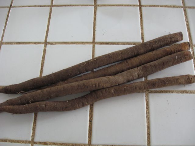c0188527_225807.jpg