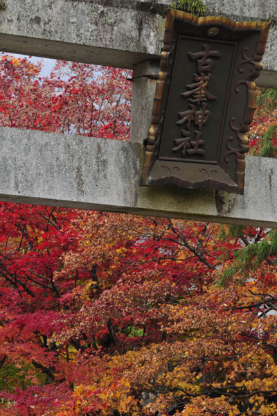 古峯神社～佳境(1)_c0182231_1956884.jpg