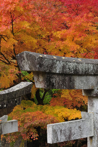 古峯神社～佳境(1)_c0182231_19592187.jpg