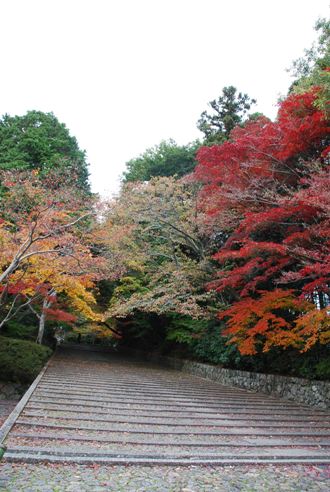 京都へ_c0099133_1423541.jpg