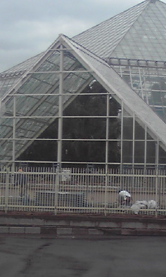 c0179647_1053589.jpg
