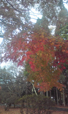 c0179647_9163063.jpg