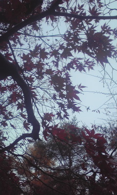 c0179647_9163069.jpg