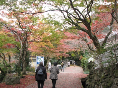 いよやかの郷・日帰りツアー_c0113948_1651499.jpg