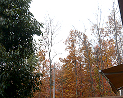 d0050155_0253121.jpg