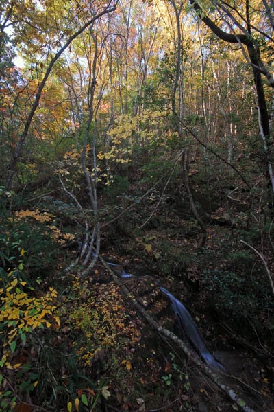 e0035757_17155811.jpg