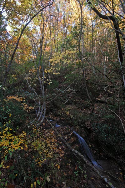 兵庫県　羽束山　山茶花梅雨の合間に紅葉見物_e0035757_17155811.jpg