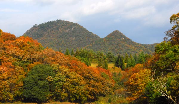 兵庫県　羽束山　山茶花梅雨の合間に紅葉見物_e0035757_1723378.jpg