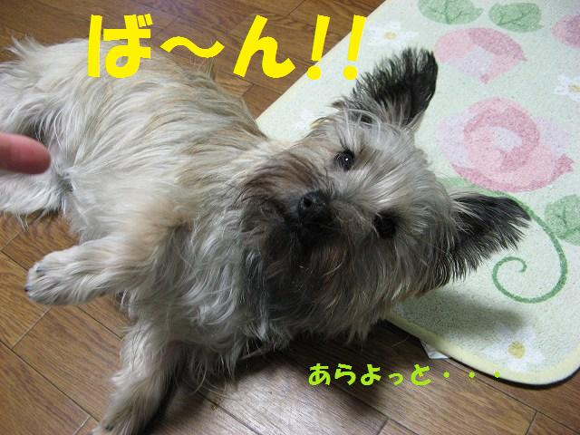 c0202659_17255.jpg