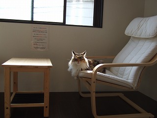 c0047860_1044587.jpg