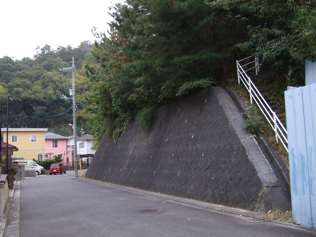 b0095061_11292131.jpg