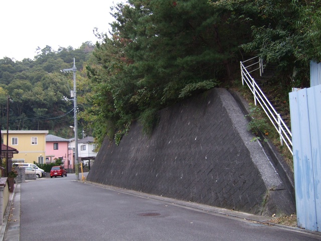 高尾山城跡・天神堂へ登山ハイキング　その1　矢野下登山口~城跡まで_b0095061_11292131.jpg