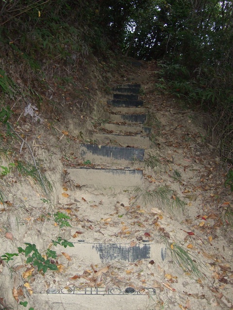 高尾山城跡・天神堂へ登山ハイキング　その1　矢野下登山口~城跡まで_b0095061_1137856.jpg