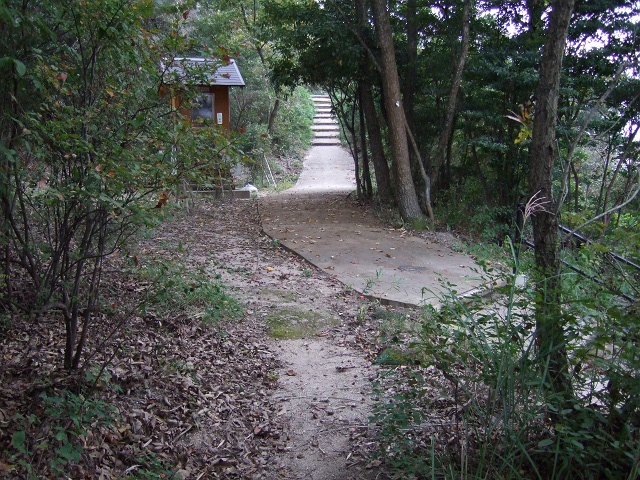 高尾山城跡・天神堂へ登山ハイキング　その1　矢野下登山口~城跡まで_b0095061_11413021.jpg