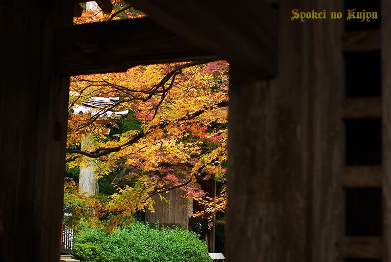 基山大興善寺の紅葉_f0173067_10583638.jpg