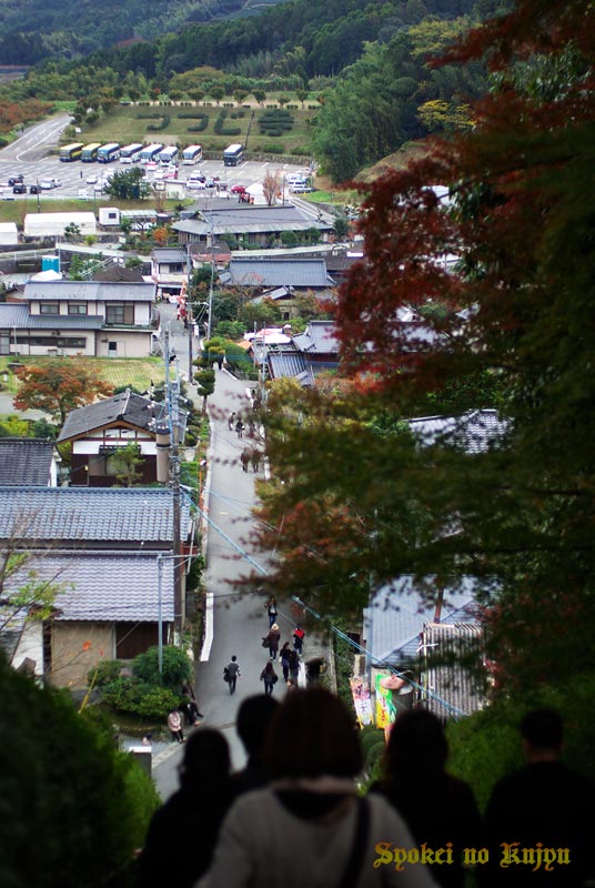 基山大興善寺の紅葉_f0173067_112244.jpg