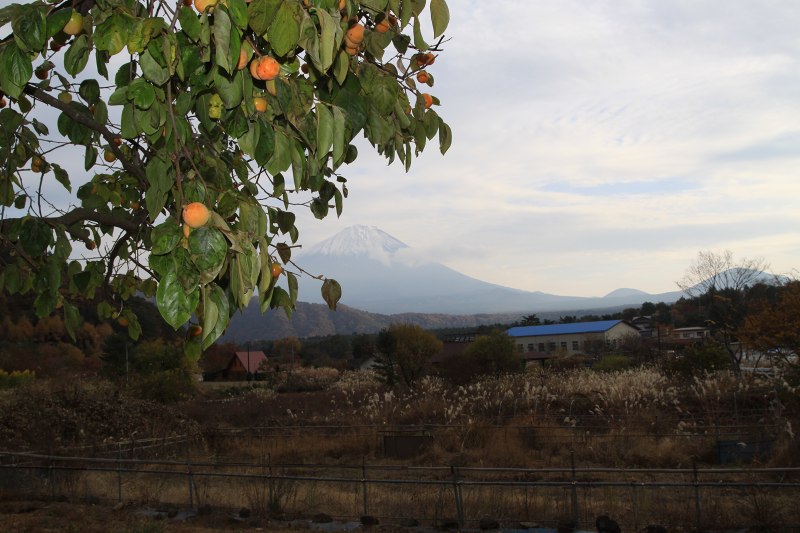 富士山_a0024968_15392574.jpg