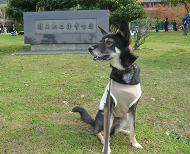 盛り沢山の日曜日_b0127675_17405384.jpg