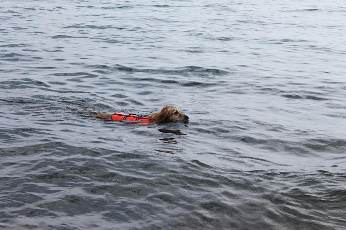 今シーズンラストの湖水地方ⅳ～♪ _d0078080_17332168.jpg