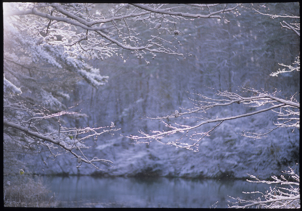 雪の朝_a0053783_012139.jpg