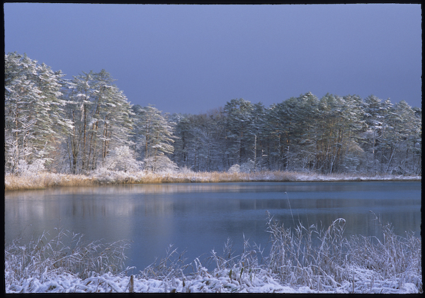 雪の朝_a0053783_0152243.jpg