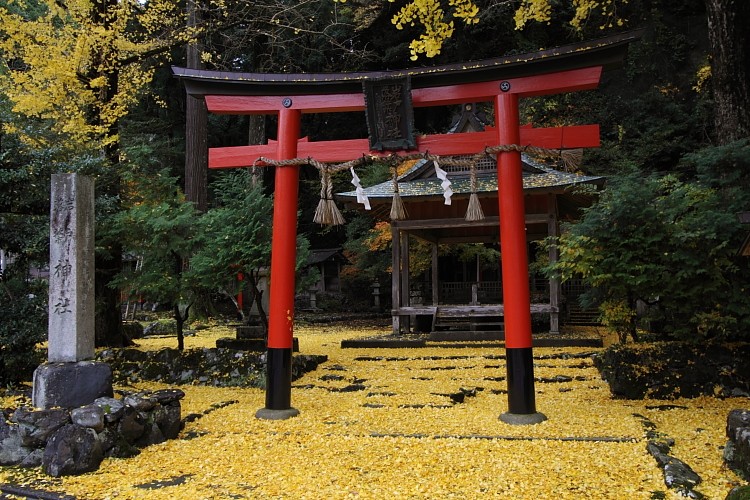 京都・洛北 秋色撮影 ~その2~_e0051888_14442138.jpg